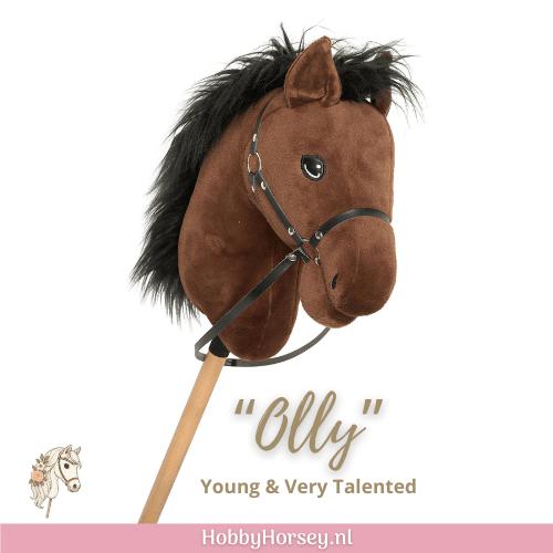hobbyhorse kopen bruin zacht freestyle