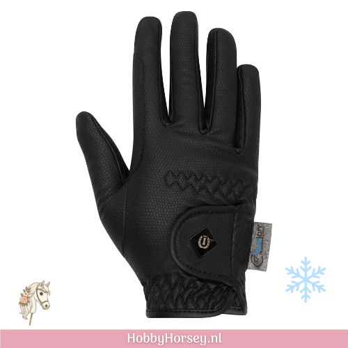 Ruiter Paard rij handschoenen winter zwart imperial riding