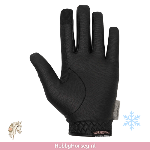 Ruiter Paard rij handschoenen winter zwart imperial riding