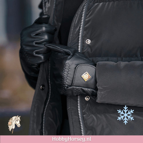 Ruiter Paard rij handschoenen winter zwart imperial riding