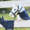 hobby horse hv polo collectie limited edition 2026 1