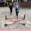 hobby horse hindernis set kopen winkel goedkoop hout