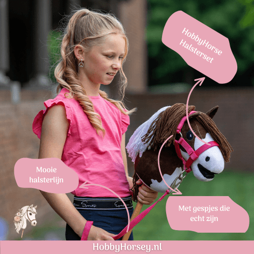 HH QHP 5581 Halsterset-fuchsia-roze (2) Hobby Horse Halster Set QHP fuchsia roze kopen 2