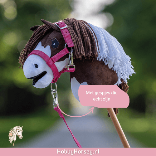 HH QHP 5581 Halsterset-fuchsia-roze (3) Hobby Horse Halster Set QHP fuchsia roze kopen 3