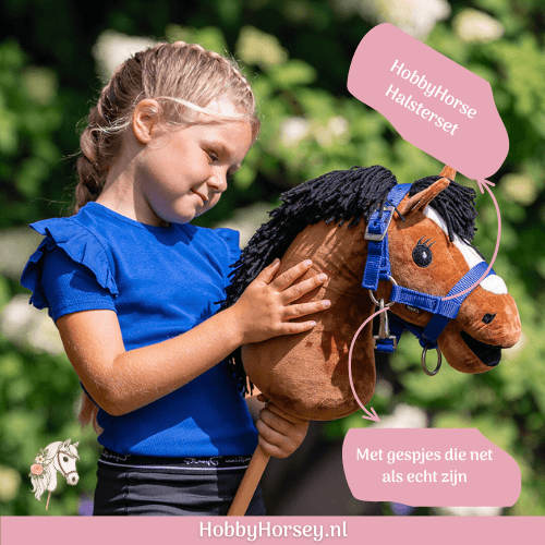 Hobby Horse Halster Set QHP kobalt blauw kopen 2
