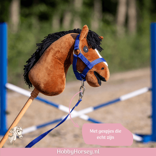 Hobby Horse Halster set QHP kobalt blauw kopen 3