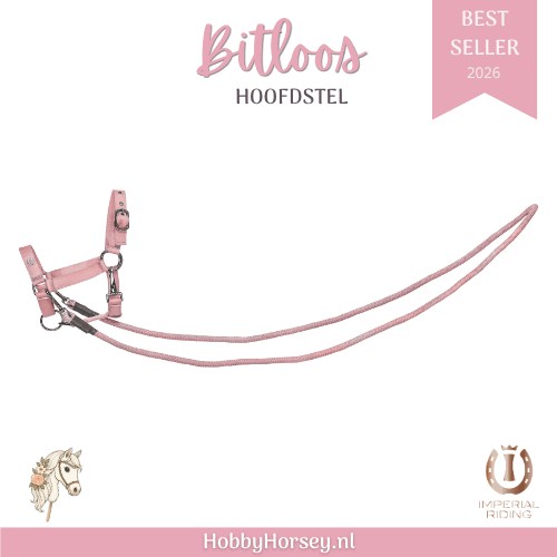 Hobby horse bitloos hoofdstel irh freestyle Ballerina 1