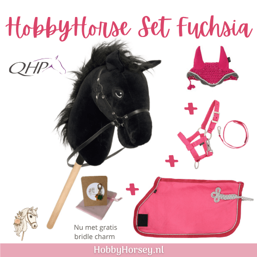 QHP Hobby Horse Cadeau Set 1