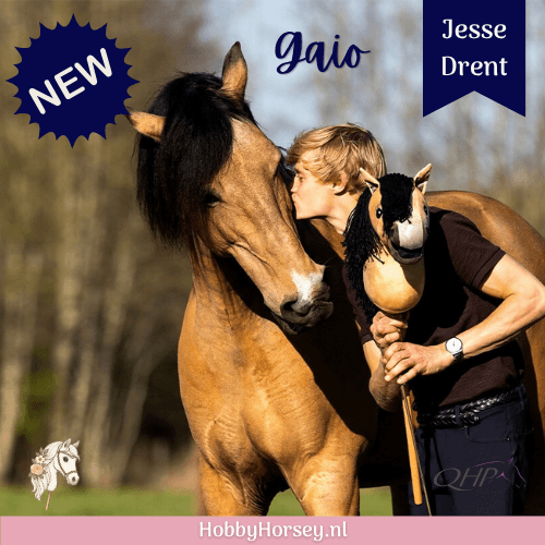 Jesse Drent Hobby horse Gaio